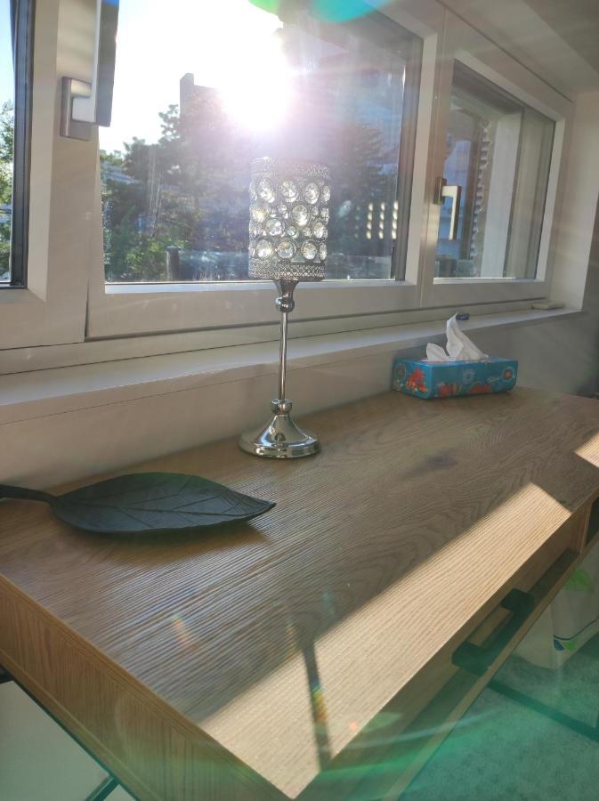 Luxurioeses Penthouse Mit Blick Auf Die Uno-City Und Dem Kaiserwasser. 3Schlafzimmer, 2 Baeder, Privat Lift Ins Apartment Βιέννη Εξωτερικό φωτογραφία